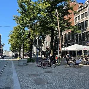https://in-the-air-cosy-room-cur-historique-de-lige.brusselshotelsbook.com